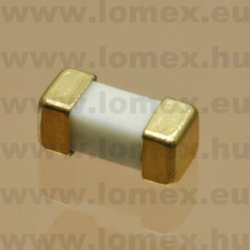 1 A 125V 0452001.MRL 2410 SMD (LFS) RoHS - 44-02-71