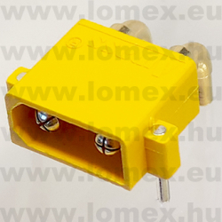 XT30PW-M30.G.Y (AMA) RoHS 2P APA NYÁK 90° - 43-32-10