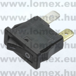 H8800VAAAB CL0133 (ARC) RoHS ROCKER  7x19 2P SPS - 45-00-99