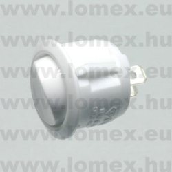 R13-112A5 (SCI) RoHS ROCKER D=20  2P SPST - 45-07-12