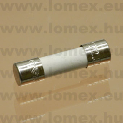 10 A 250V ˝T˝  5x20mm CERAMIC  TIME LAG 0215010.MXP (LFS) RoHS - 44-02-82