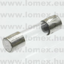 100 mA 250V ˝T˝  5x20mm 0218.100MXP (LFS) RoHS - 44-00-87