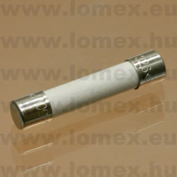 10 A 250V ˝T˝  6.3x32mm CERAMIC  TIME LAG 0326010.HXP (LFS) RoHS - 44-03-03