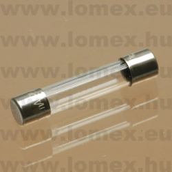 100 mA 250V ˝T˝  6.3x32mm 0313.100HXP (LFS) RoHS - 44-03-17