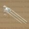L-59SURKCGKC (KIN) RoHS D= 5 RED/GRE - 34-06-59