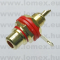 RCAS-24R (FEM) RCA CHINCH ANYA - 43-21-26