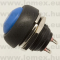 PBS-33BBLUE (FEM) RoHS PUSH B. D=12 2P SPST - 45-10-50