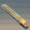 FYL-5019RBGD1D-CA (FYL) RoHS DIFFUSED D= 5 RED/GRE/BLU 4-PIN - 34-06-87