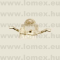 KM2520SGC09 (KIN) RoHS 2x2.5 GRE - 95-00-62